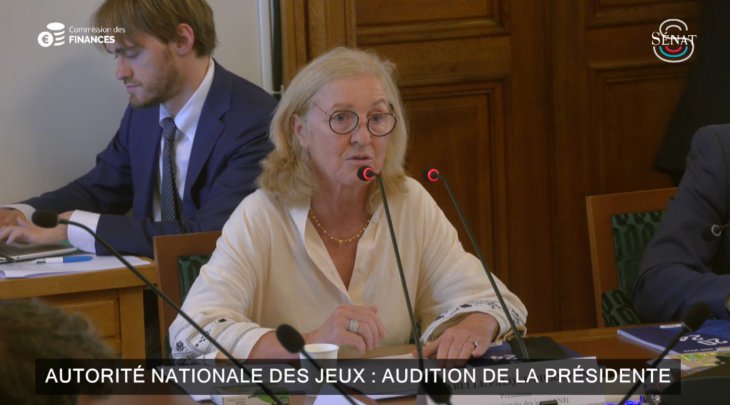 Isabelle Falque Pierrotin